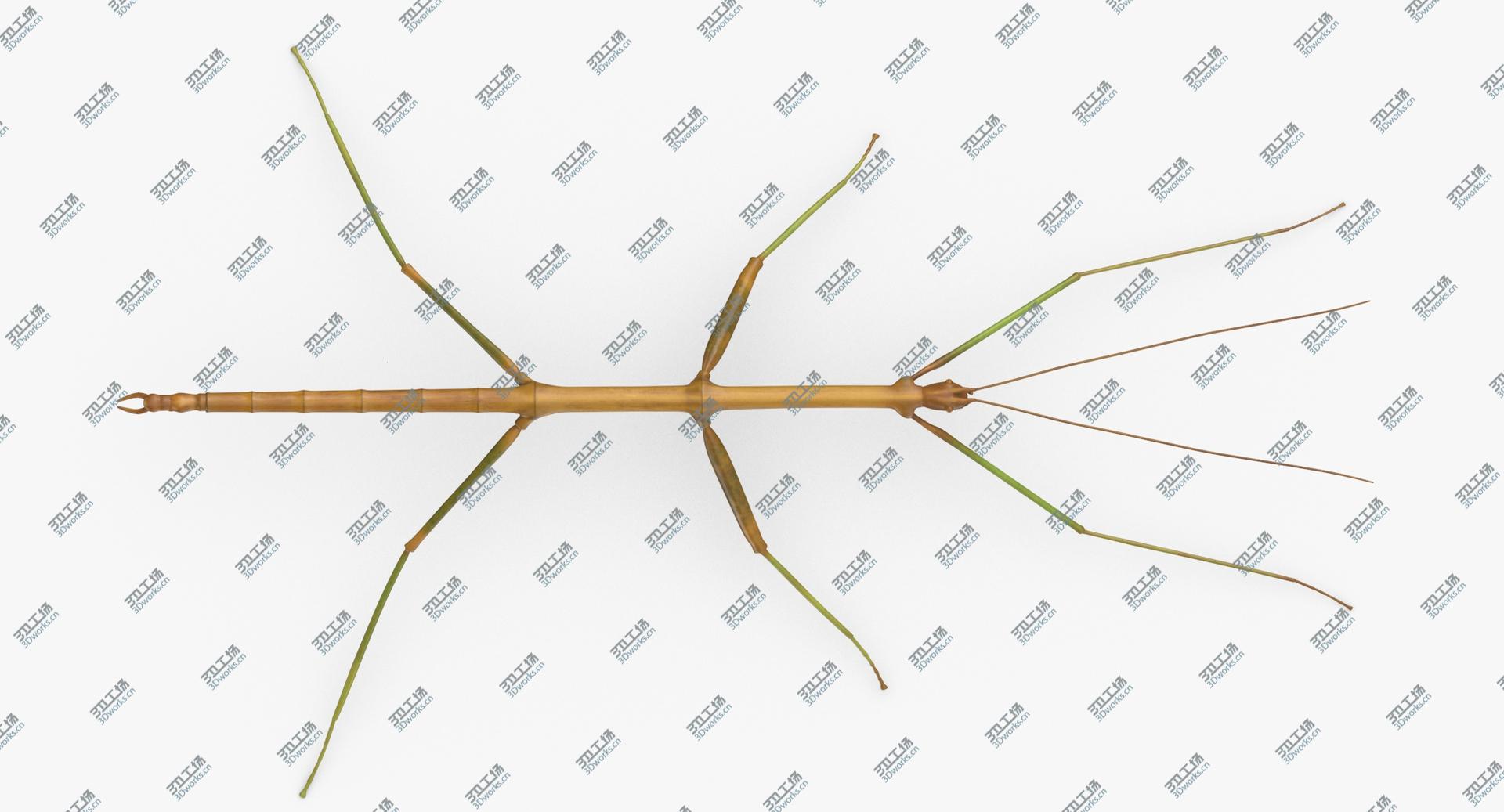 images/goods_img/2021040235/Walkingstick Rigged 3D/5.jpg
